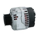 RNL515500
