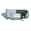 RNLM1T74281