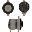 LR135-31+