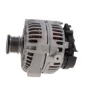 RNL525019