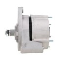 RNL3131